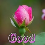 Franz Wallace - Facebook