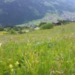 Franz Xaver Wenzel - @franzxaverwenzel - Instagram