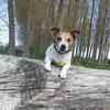 franzi - @franziwenzel - TikTok