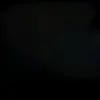Franz Wilson - @franzwilson - TikTok