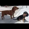 FRANZ WILSON REAS MAYTA - @franz.wilson.reas - TikTok