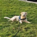 Franz Wolf - @franz.wolf.779 - Instagram