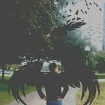 Franz Wolf 🐺 - @franz_wolf - Instagram