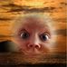 Franz Wilfinger - Facebook