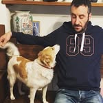 Daniele Franzetti - @dany_frenz - Instagram