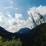 Franziska Hackl - @20franziska.hackl07 - Instagram
