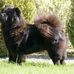 Franziska Smith - Facebook
