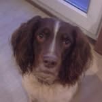 fraserbaird - @frba1205 - Instagram