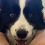 Fraser Baker - @fraserbaker5 - Instagram