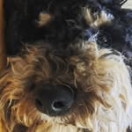Fraser Barnes - @fraserjosef - Instagram