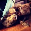 Fraser Barr - @2172652533 - TikTok
