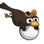 The Birdie Lounge - @fraserbirdielounge - Instagram