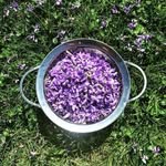 Fraser Buck - @mrambleberry_farbstead - Instagram