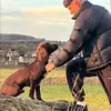 fraserdavidson3 - @fraserdavidson3 - TikTok