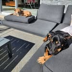 Fraser Dixon - @mopothoko - Instagram