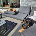 Fraser Dixon - Facebook