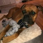 Douglas.m fraser - @fraser.douglas.m - Instagram