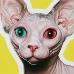 Fraser Colquhoun Douglas - @fcdouglas.art - Instagram
