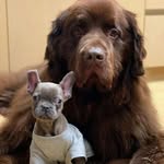 Fraser Douglas - @fraser_d3456 - Instagram