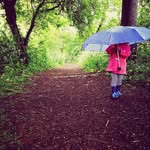 Abigail Fraser - @fraserfoxhousehold - Instagram