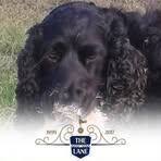 Fraser Gilbert - Facebook