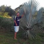 Gilbert Fraser - Facebook
