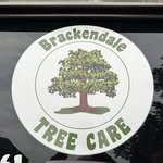 Fraser Hall - @brackendale_treeman - Instagram