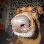 Harper fraser - @_harper_fraser_ - Instagram