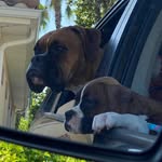 Murphy Fraser & Ireland Harper - @murphyfraserandirelandharper - Instagram