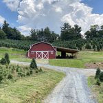 Barn at Fraser Hill - @barnatfraserhill - Instagram