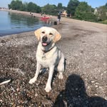 Fraser Howell - @howellfraser - Instagram