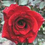 Fraser Hunter - @fraserhunter48 - Instagram