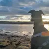 Fraser.hunt - @fraser.hunt - TikTok