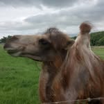 fraser Jackson - @frasjack1969 - Instagram