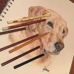 Fraser Jackson - @frazzles_art - Instagram