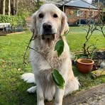 Fraser Kennedy - Facebook