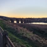 Fraser Mann - @fraser.mann08 - Instagram