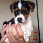 Fraser Mclean - Facebook