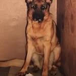 Fraser Monks - @frasermonks - Instagram