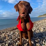 Fraser Moore - @frafdg - Instagram