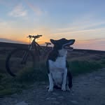 Fraser Morrison - @fraser_morr - Instagram