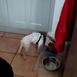 Fraser - @frasermurphy2008 - Instagram