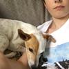 fraser_murphy - @fraser_murphy - TikTok