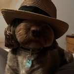 Fraser murphy - @thekingbossfraser - Instagram