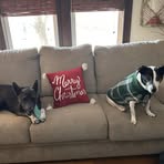 Dawn Porter Fraser - Facebook