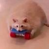Fraser Reed - @gucci_guy69 - TikTok