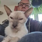 Fraser Richards - @fraser.richards - Instagram