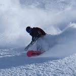 Fraser Robbins - @fraserrobbins - Instagram