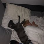 Fraser Sinclair - @fraser.sinclair.585 - Instagram