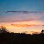 Fraser Singleton - @frase.r_singleton - Instagram